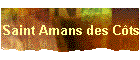 Saint Amans des Cts